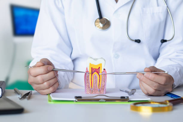 Trusted TX Emergency Dental Service Experts